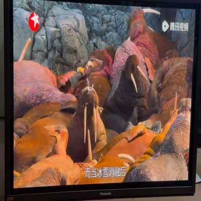 松下等离子电视松下50pf11CK和松下50pz800同样--议价商品