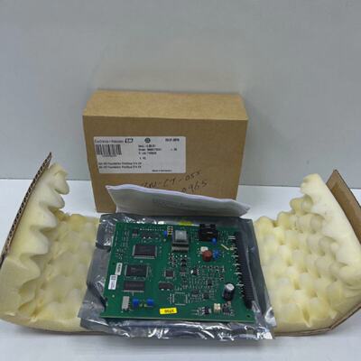 Endress  Hauser EH Flowtec 3199480200 D