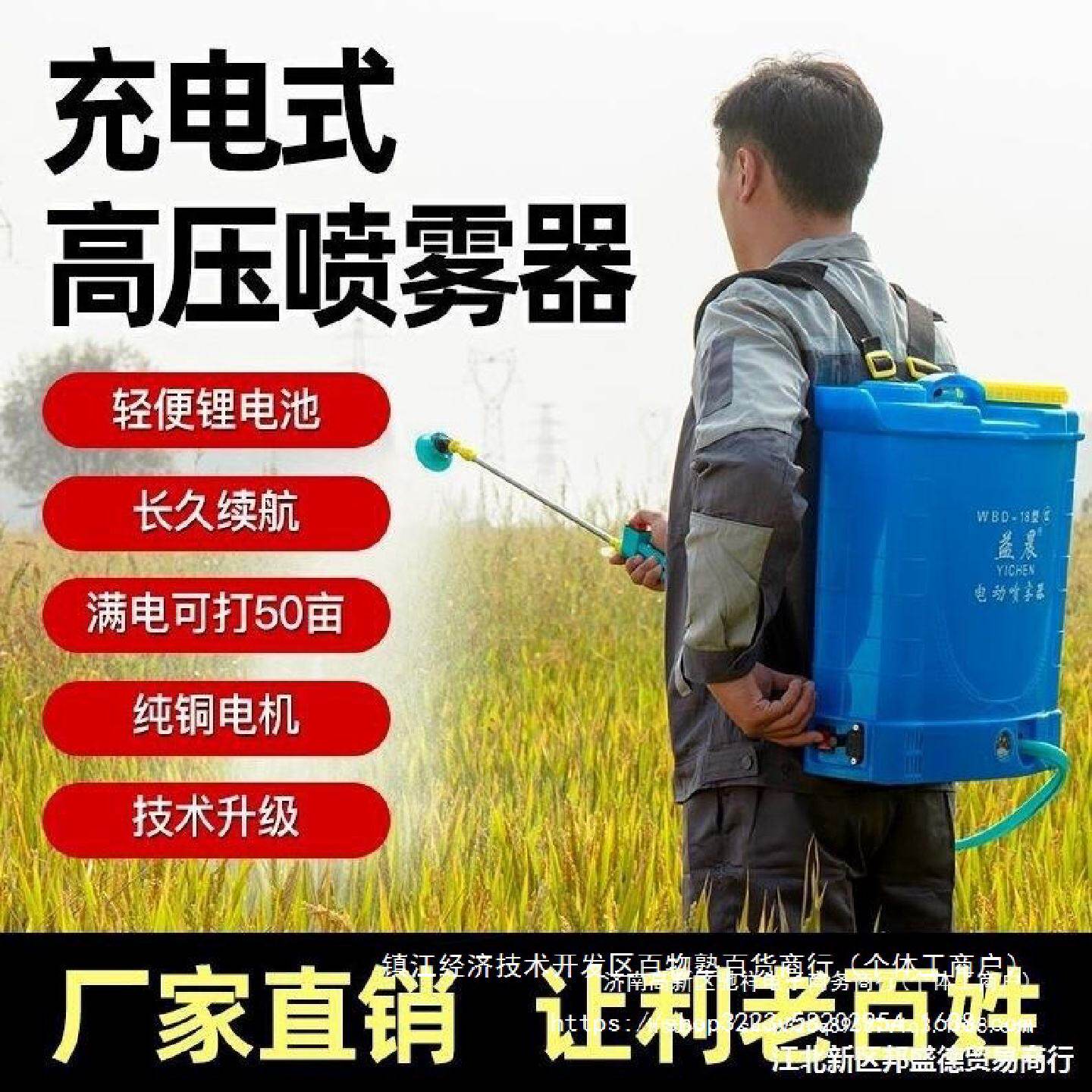 德国进口电动喷雾器农用锂电高压背负式充电打药桶消毒喷壶新手动