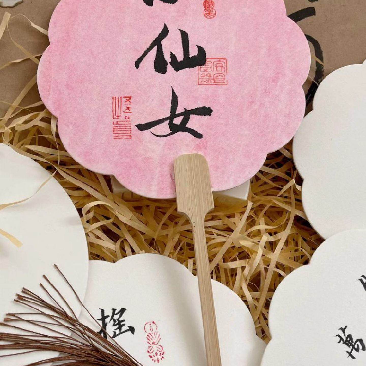 书法小团扇手写定制中国风可爱富瘦双全仙女diy手绘空白宣纸扇子