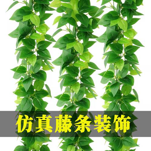 仿真藤条绿萝叶装饰假树叶绿藤藤蔓塑料花藤水管道遮挡空调绿叶花