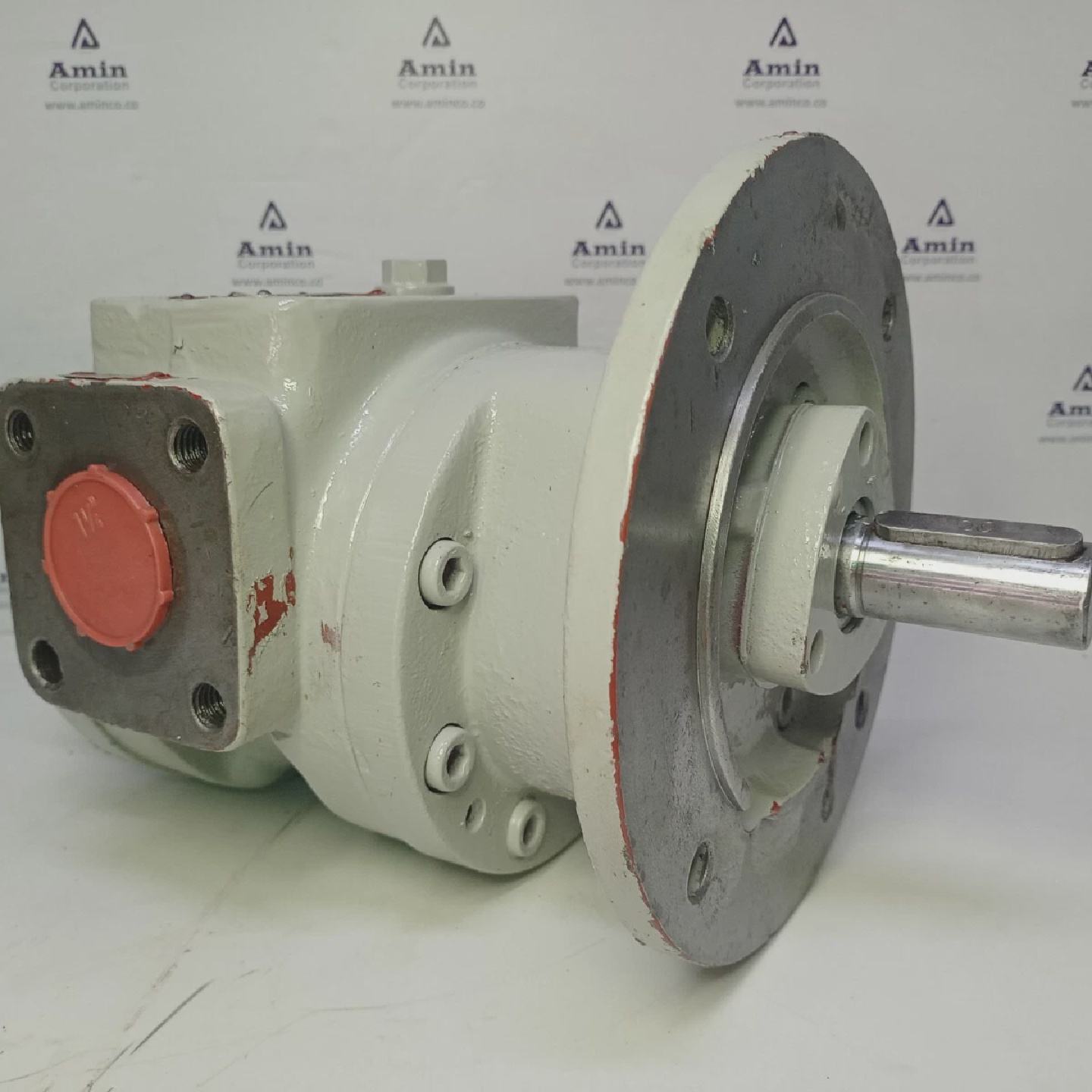 Bomba De Engranaje Hidrulica ZPM LG3110 - 实物图