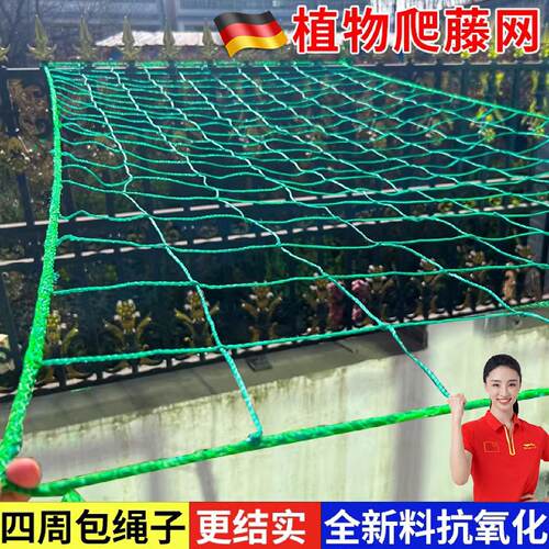 植物爬藤网攀援网园艺搭架网瓜果丝瓜苦瓜月季藤蔓花卉攀爬种植网
