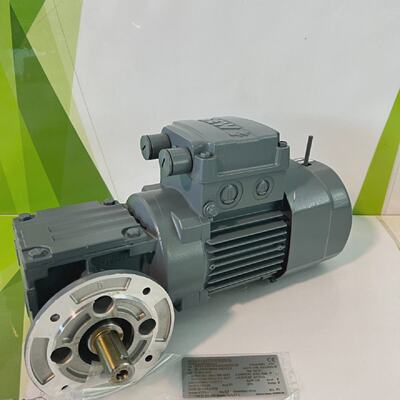SewEurodrive  WF20 DR63M4BRHRTFIS