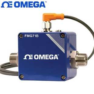 FMG72B BSP FMG73B 美国奥米佳电磁流量计FMG71LB