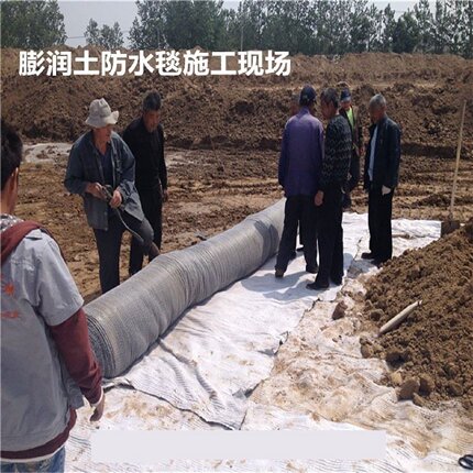 GCL钠基膨润土防水毯3000g4000g5000g膨润土防水毯厂家直销