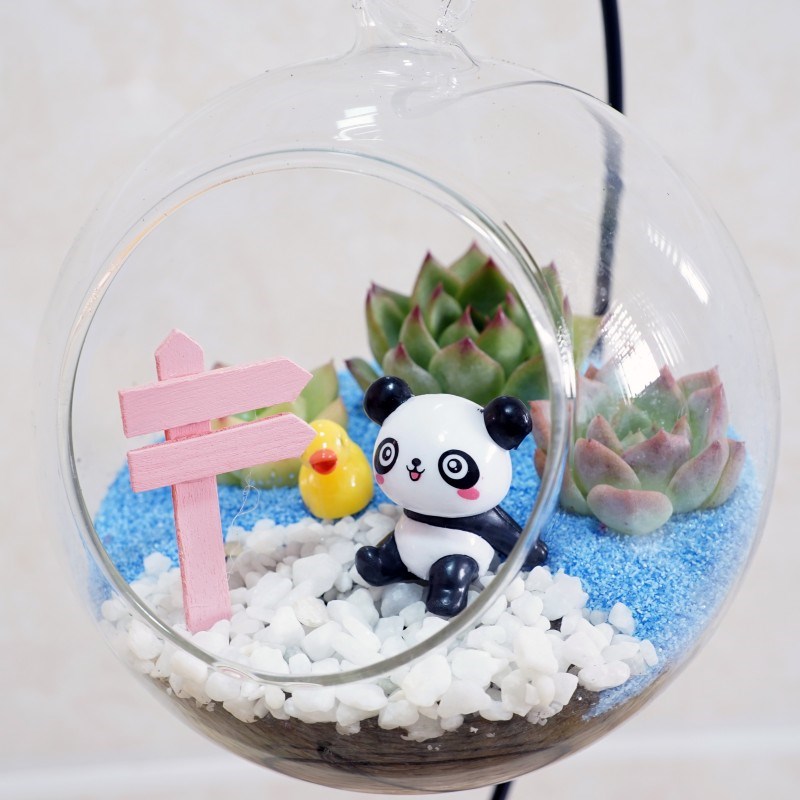 桌面苔藓微景观小花盆栽鲜活植物生态玻璃瓶DIY材料包