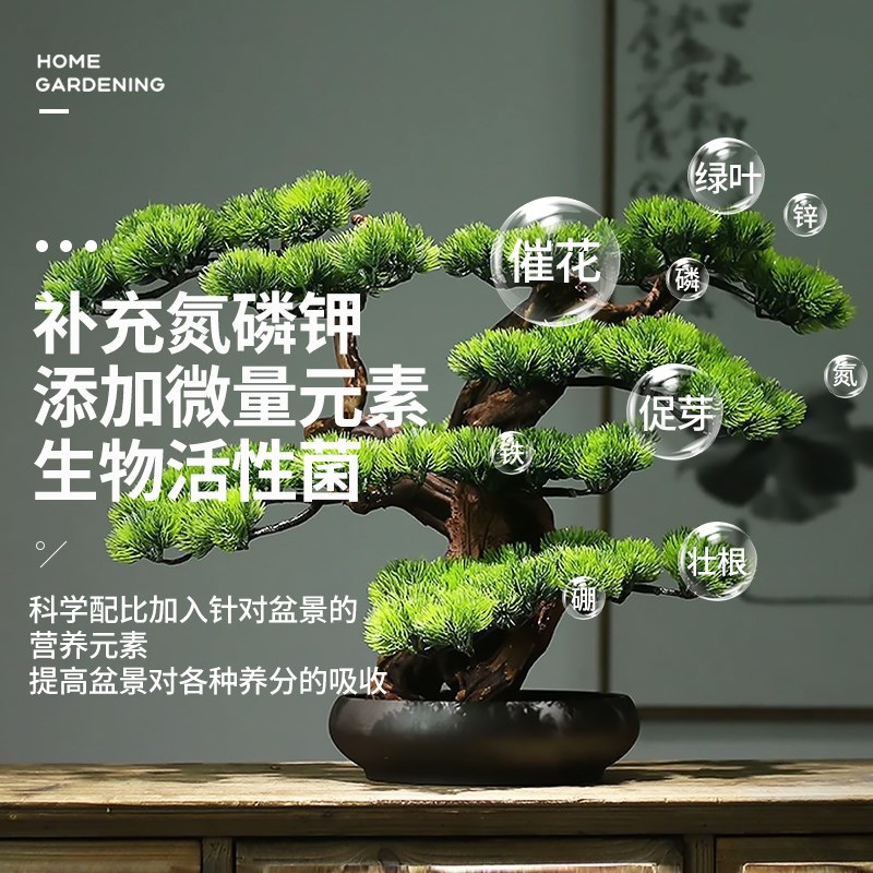 营养液盆景专用肥料文竹罗汉松治黄叶烂根室内花卉植物通用液体肥