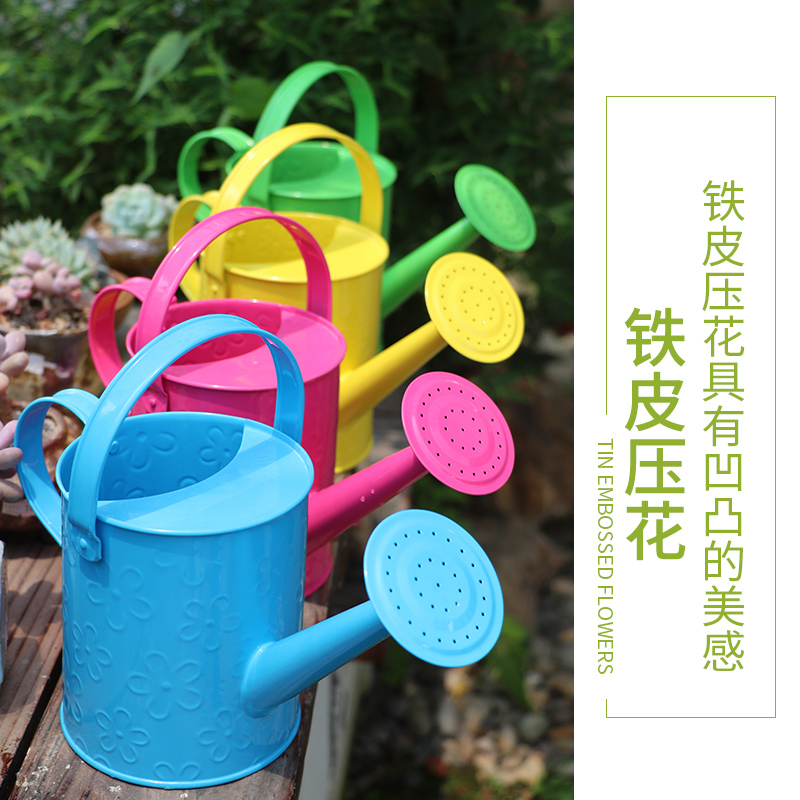 园艺小型家用宝宝儿童多彩铁皮洒水壶浇花浇水壶水桶花艺插花装饰