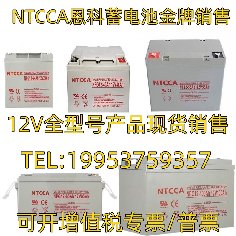 NTCCA恩科蓄电池NP/G12V17AH24AH38AH40AH65AH100AH 消防 直流屏