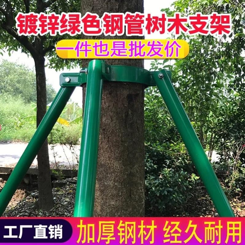树木支撑架镀锌钢管绑带卡扣大树支撑杆防风苗木支架园林支撑器