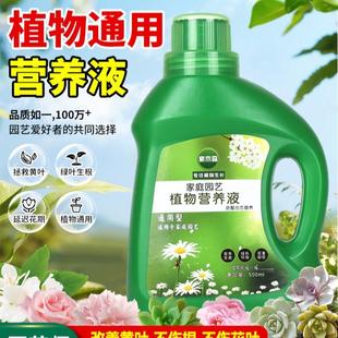 莲栽培花卉草碗家营养液阳台专用黄叶花肥家用绿植培养铜钱 急救