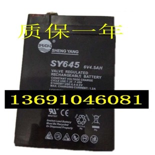 电子称用电瓶 SHENGYANG晟阳蓄电池 SY645 6V4.5AH玩具车 童车