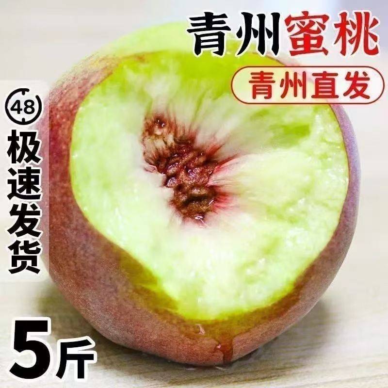 正宗山东青州蜜桃新鲜水果脆甜当季应季水桃子小脆桃黄桃10斤整箱