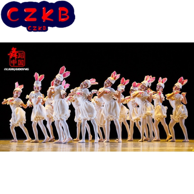 新款幼儿小白兔服装小兔子演出服