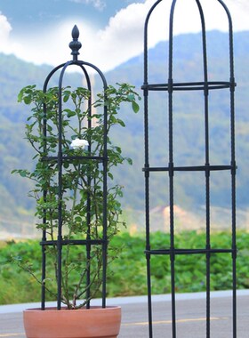 欧式白色花支架铁艺爬藤架室外园艺花架月季铁线莲牵牛花爬藤架