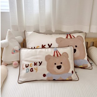 儿童枕头1到3到6岁a类宝宝枕套50x30cm天丝凉感夏季可爱2025新款