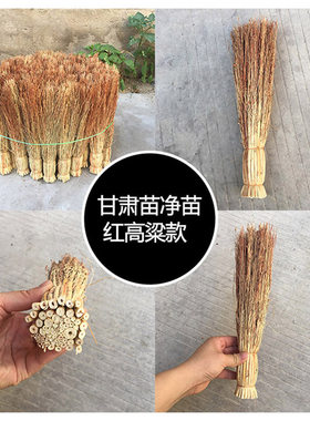 家用多功能锅刷饭把高粱苗净苗手工洗碗刷锅饭帚笤帚面帚厨房刷