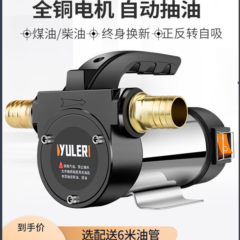 渝乐正反转电动抽油泵柴油12V24V220V直流加油泵手动加油机吸油机