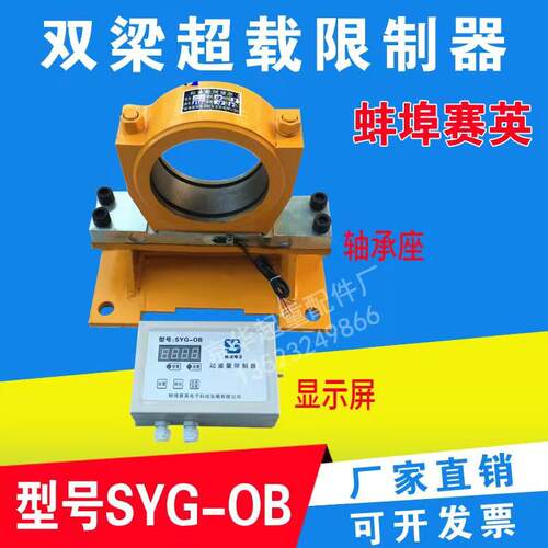 双梁超载限制器行车起重量限重器蚌埠赛英SYG-OB型双梁起重机限重