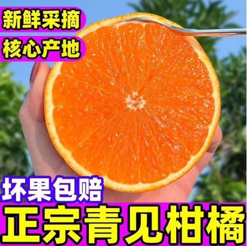 【下单立减30】四川正宗当季青见果冻橙新鲜水果酸甜多汁柑橘