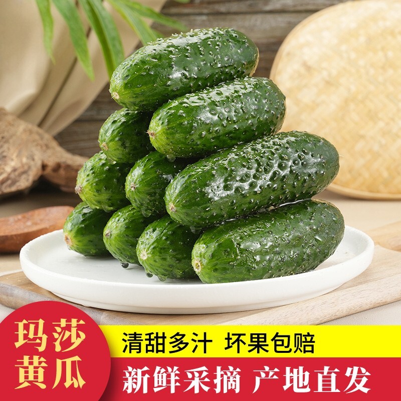 【下单立减30】山东新鲜玛莎水果黄瓜现摘小黄瓜脆嫩美味新鲜蔬菜