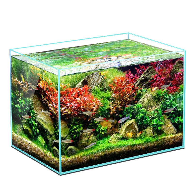 只发新疆水族超白玻璃鱼缸桌面客厅生态超清缸造景懒人养鱼水草缸