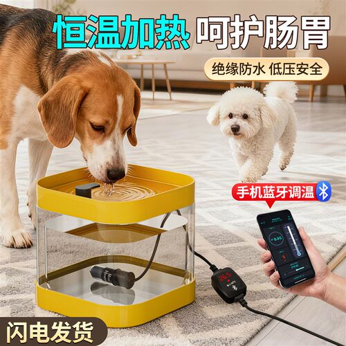 宠物猫咪恒温饮水机小型加热棒猫狗恒温水碗自动恒温低水位加温棒