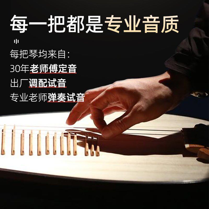 五弦琵琶乐器初学者仿唐鸡翅木琵琶成人初学凤尾头手工琵琶琴定制