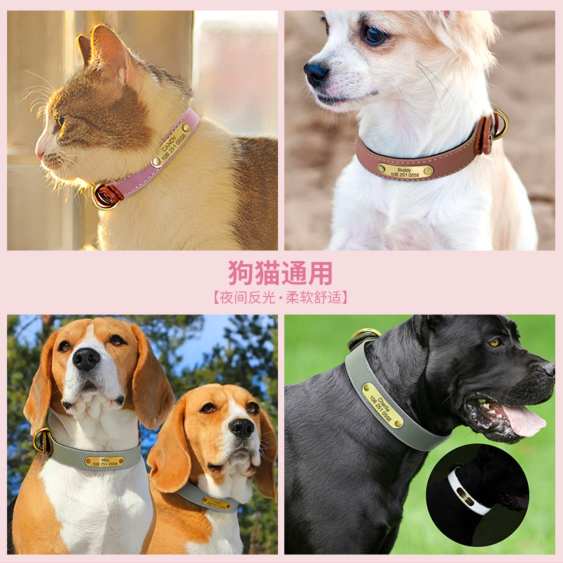 发光狗狗项圈刻字猫咪小型犬中型铃铛脖圈大型定制宠物防丢狗牌