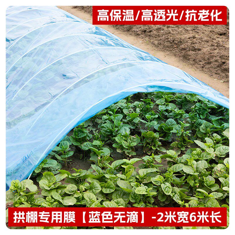 大棚骨架小拱棚支架玻璃纤维温棚架杆温室保豆角玻璃钢实心杆新款