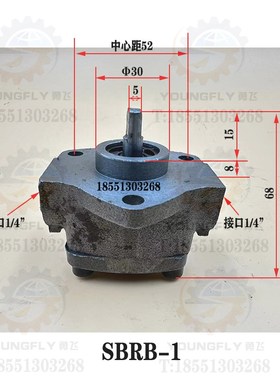 双向摆线泵SBRB-1 SBRB-3 SBRB-6型三角摆线泵 润滑泵