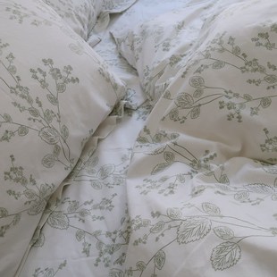 夏凉感软的离谱纯棉加密丝滑垂感床单被罩单件纯棉全棉Y单双人被