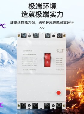 厂家直销DZ20LE-160 200A 250A 315A 350A 400A   630A漏电保护器