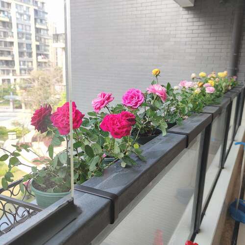 JCN阳加台栏宽花架杆悬挂花盆挂架吊兰绿萝多肉壁挂玻璃栏杆置物
