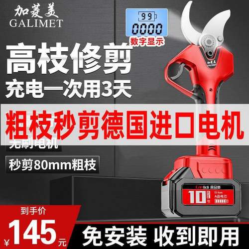 德国进动口电修枝剪树粗枝剪刀充电式强无线果锂电TZB力园艺树枝