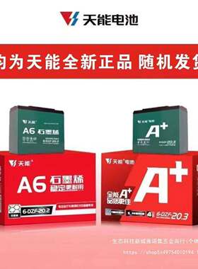 LZY电瓶车酸天能电池84V电动3车电池6V60V72V三轮车电铅池以旧换