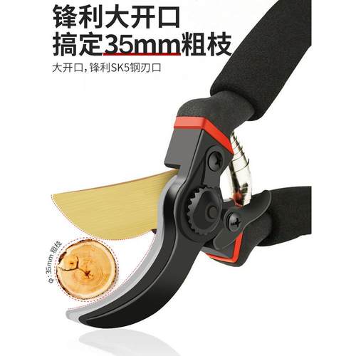 国精工园剪刀树枝专艺用剪剪刀修枝剪果树剪花园林AFY园德艺剪子