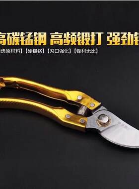 碳高钢枝修剪园艺剪刀锌合园林轻便JYG盆金景造型果枝剪可修粗枝
