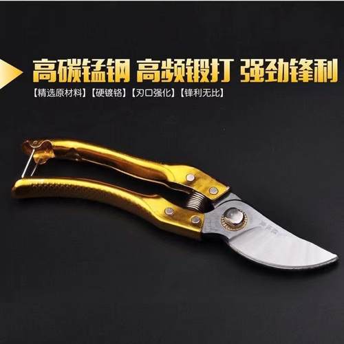 碳高钢枝修剪园艺剪刀锌合园林轻便JYG盆金景造型果枝剪可修粗枝