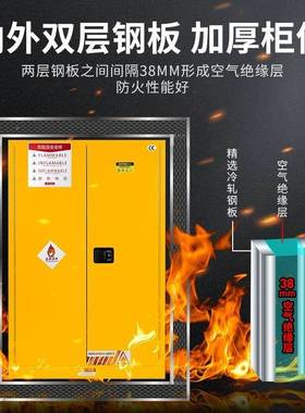工业防危爆实室化品储存ZX-00030柜危险品双锁安全柜化学验品防火