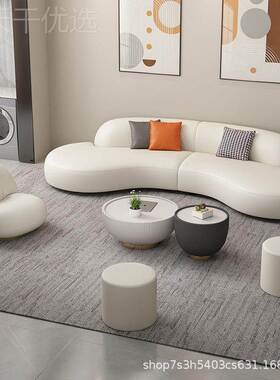 新款免洗科客技布艺风沙发轻奢现小户JNP型厅家用弧形奶油茶代几