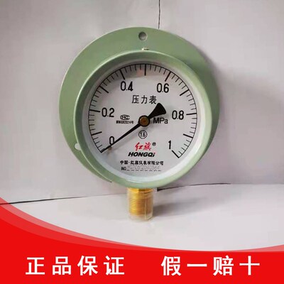 红旗仪表厂家直销径向带后边压力表 Y-100T机床船用配件后面安装