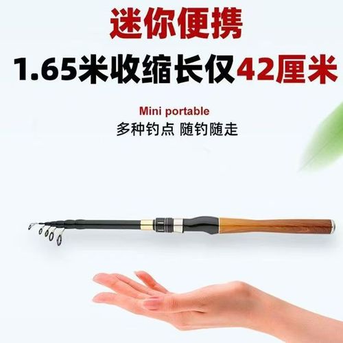 伸缩路滑竿便捷式路亚竿迷你伸缩竿抛竿振出式路亚杆打黑竿