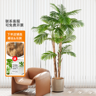 仿真绿植室内盆栽葵树假树仿生植物客厅门店橱窗落地装饰摆件造景