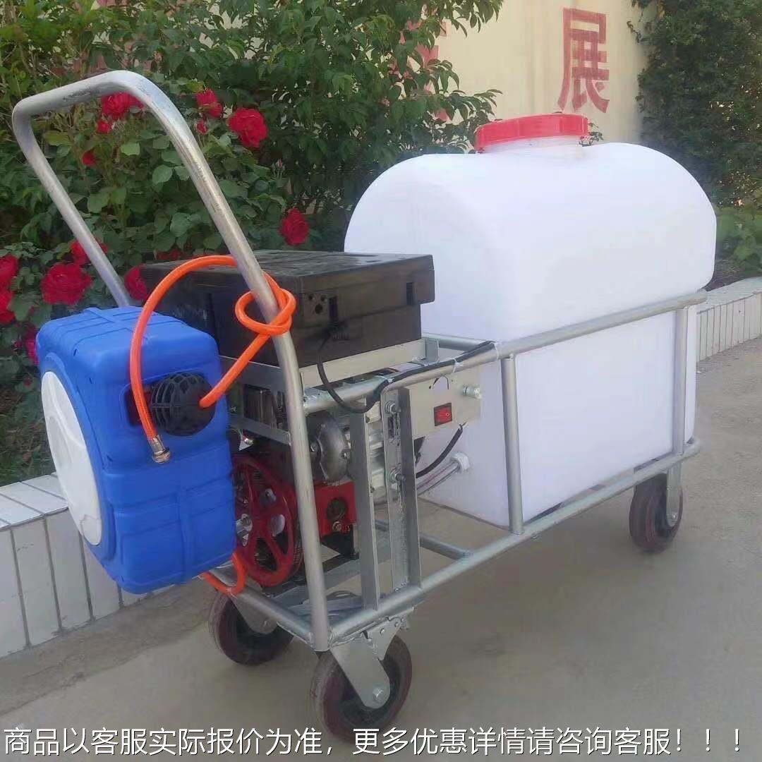 辽宁油消毒推210-160-车式手推式电动打器药药机高压农用汽动力喷