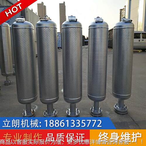 LT孔A 汽压蒸釜消音器 蒸汽锅炉对空排消声器 TA/TB小型减压降噪