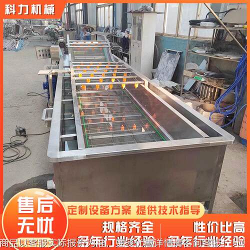 全自动泡商用香菇气清洗机 香菇清洗干流水清OJI线 香菇洗机风线