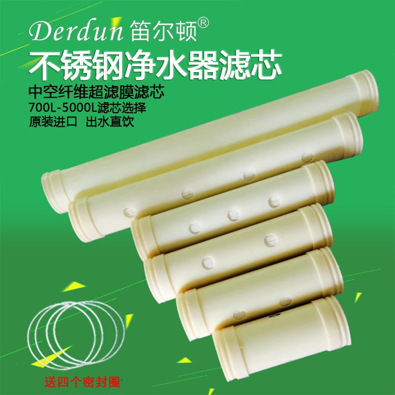 笛尔顿不锈钢厨房净水器全屋中央井水地下管道过滤器超滤膜滤芯