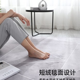 地垫进门入户门垫家用大门口玄关客厅地毯可裁剪免洗防滑浴室垫子